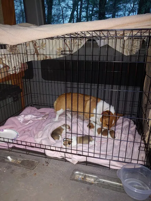 West Main Animal Clinic Picture 5