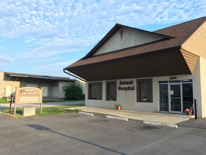 West Main Animal Clinic Picture 6