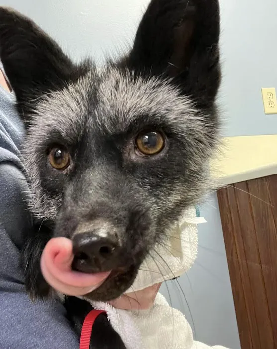 Appalachian Animal Hospital Picture 3