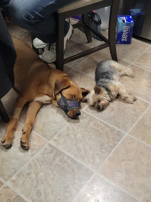 Appalachian Animal Hospital Picture 7
