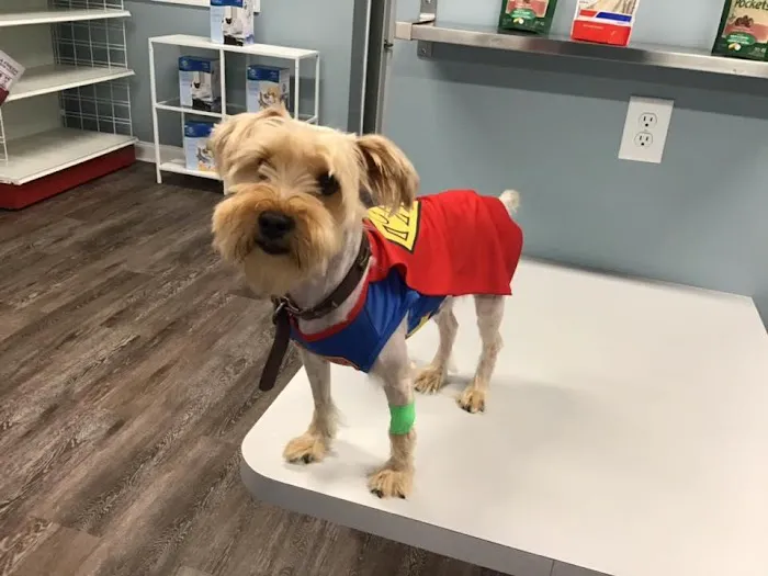 easyvet Veterinarian Morristown Picture 9