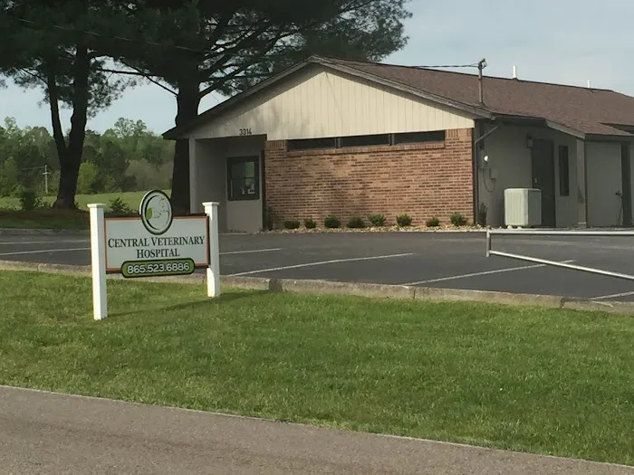 Central Veterinary Hospital Picture 1