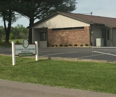 Central Veterinary Hospital