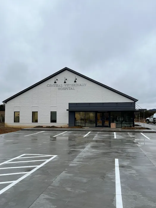 Central Veterinary Hospital Picture 10