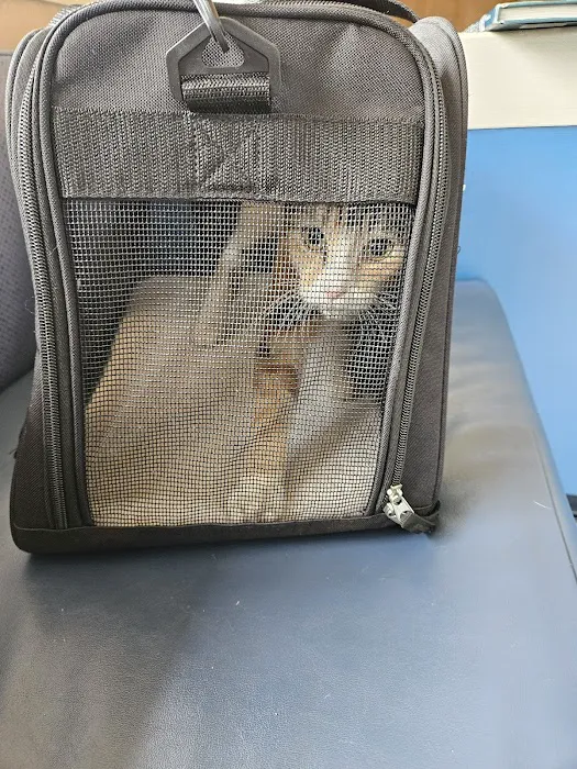 Fountain City Animal Hospital Picture 1
