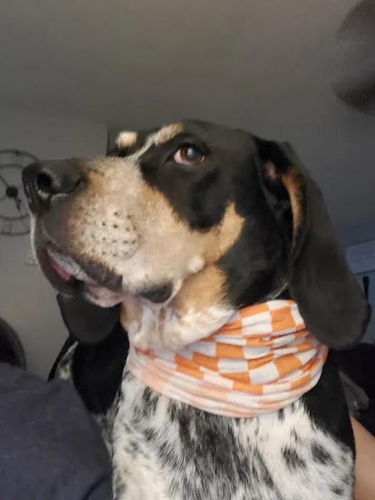 Just For Pets Animal Clinic Picture 2