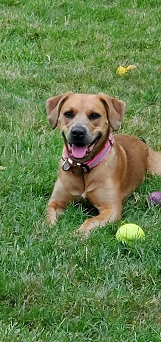 Just For Pets Animal Clinic Picture 9