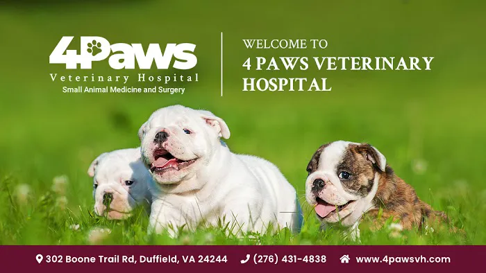 4 Paws Veterinary Hospital Picture 1