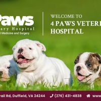 4 Paws Veterinary Hospital ico