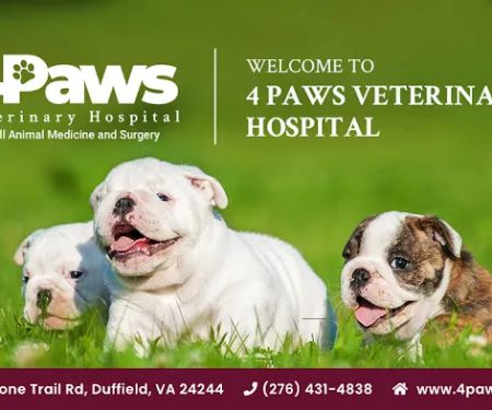 4 Paws Veterinary Hospital