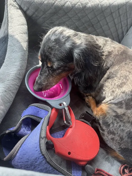 Five Rivers Pet Emergency Hospital Picture 8
