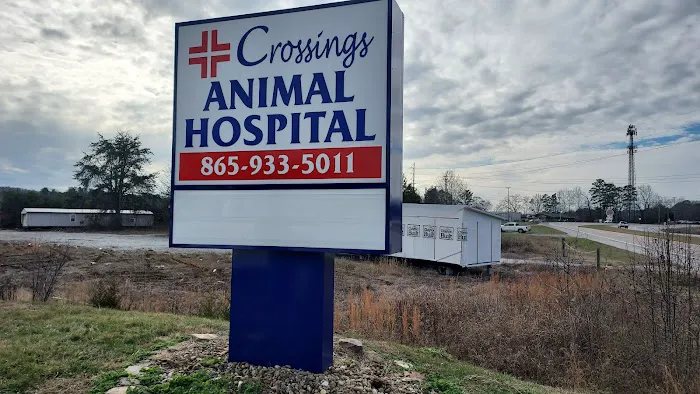 Crossings Animal Hospital Picture 4