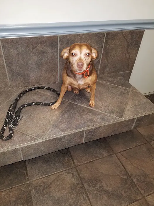 Crossings Animal Hospital Picture 6