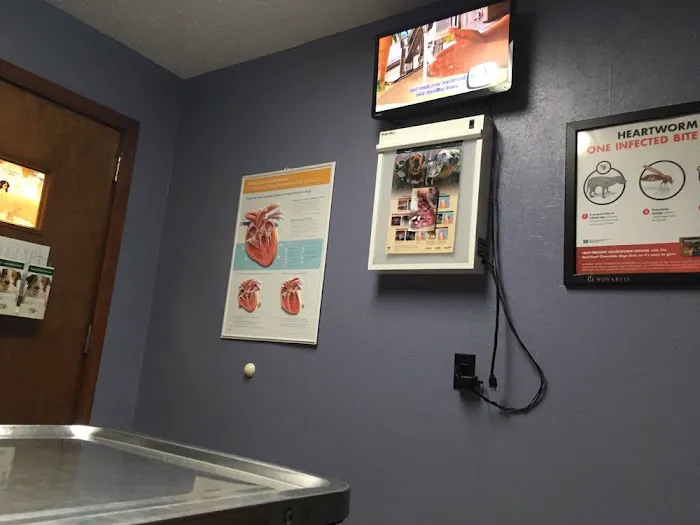 Town & Country Animal Hospital Picture 5