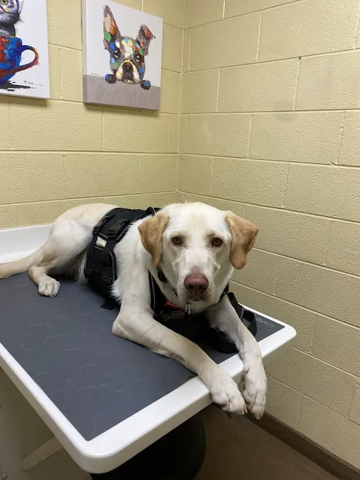 Powell Animal Hospital Picture 2