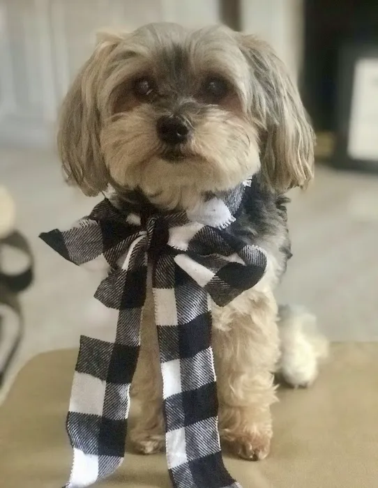 Powell Animal Hospital Picture 5