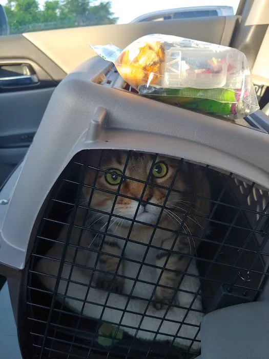 Powell Animal Hospital Picture 7