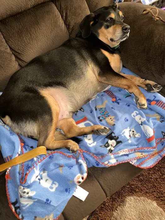 Callahan Drive Animal Hospital Picture 10