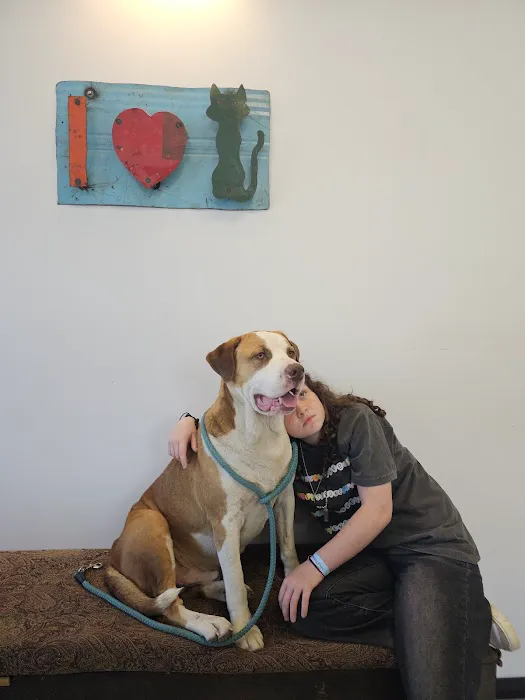 Ideal Veterinary Hospital Picture 4