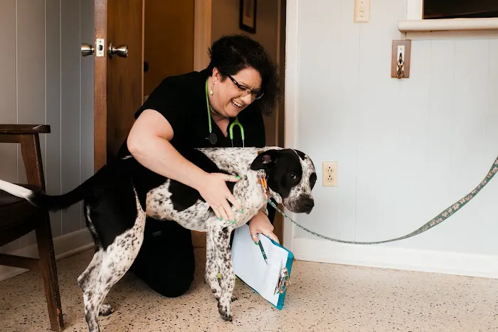 Jackson Square Animal Clinic Picture 8