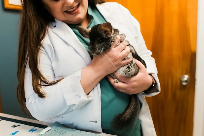 Jackson Square Animal Clinic Picture 9