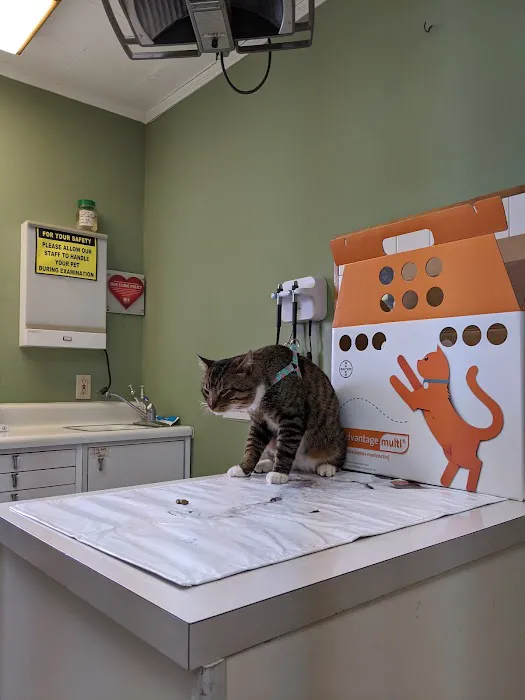 Jackson Square Animal Clinic Picture 7