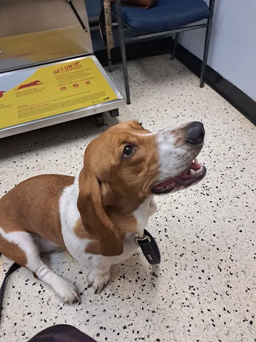 Jackson Square Animal Clinic Picture 10