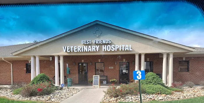Best Friends Veterinary Hospital Picture 2