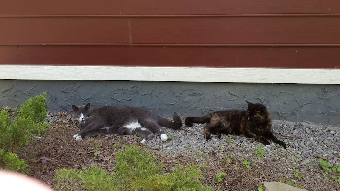Best Friends Veterinary Hospital Picture 8