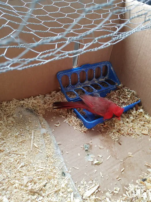Highland Veterinary Clinic Picture 2