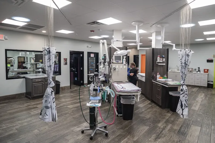Plateau Animal Hospital Picture 5