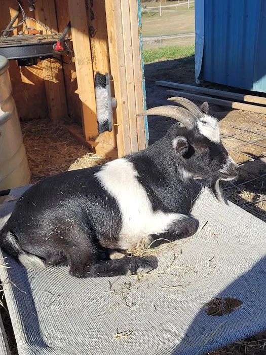 Green River Veterinary Services Picture 7