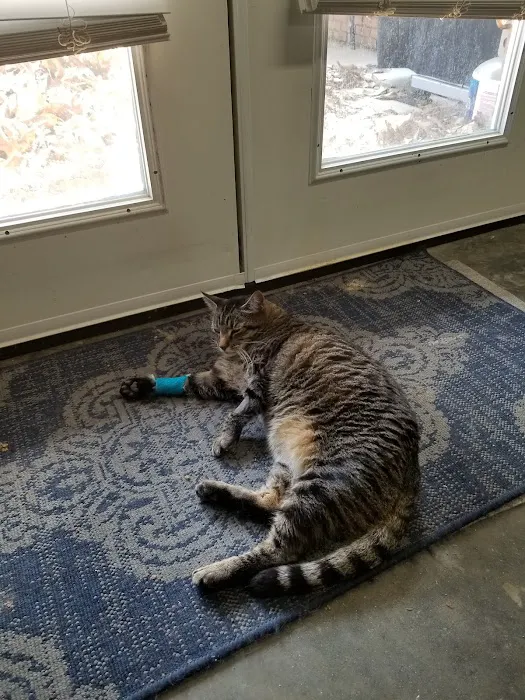 Mill Creek Veterinary Center Picture 8