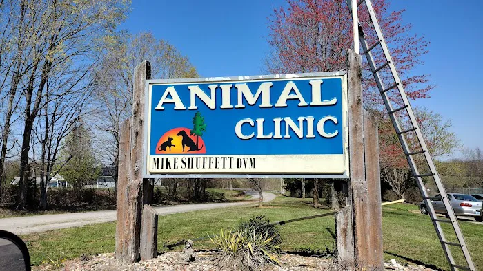 Animal Clinic The Picture 8