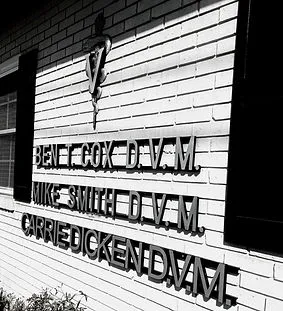 Crossroads Animal Clinic Picture 1