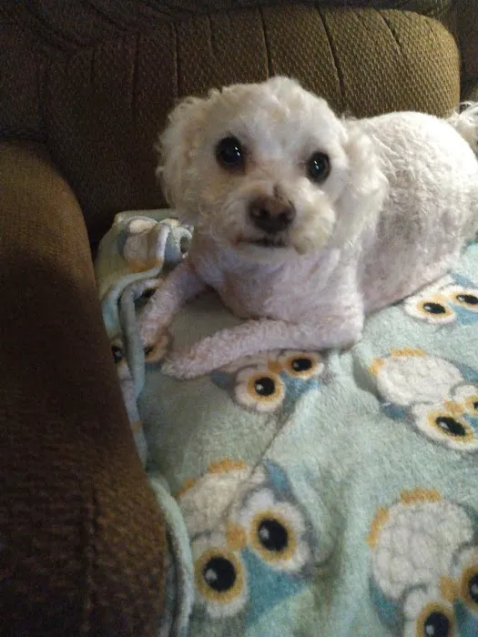 Crossroads Animal Clinic Picture 5
