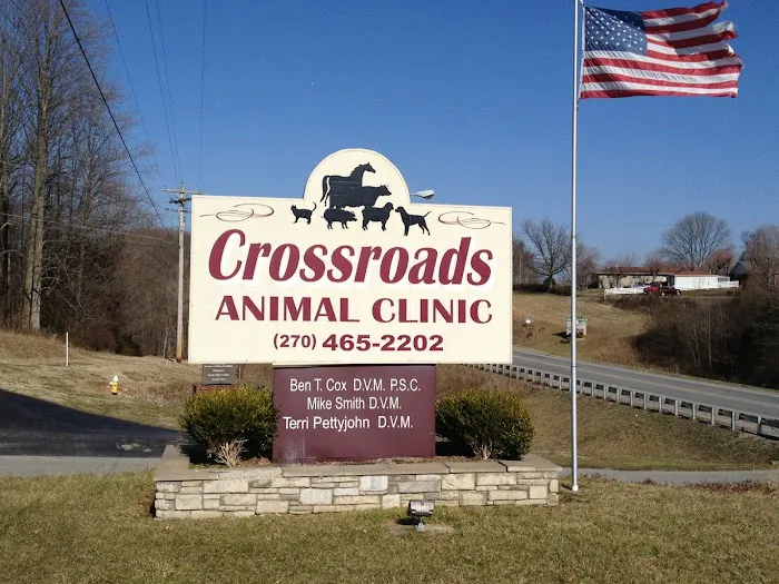 Crossroads Animal Clinic Picture 10
