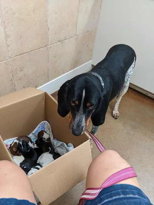 Pedernales Veterinary Center Picture 6