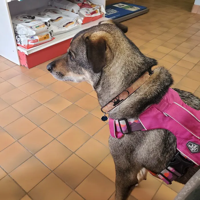 Hoegemeyer Animal Clinic Picture 2