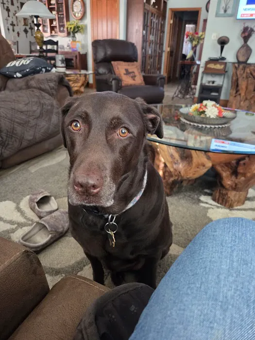 Hoegemeyer Animal Clinic Picture 4