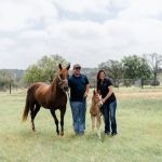 Oak Valley Veterinary Services