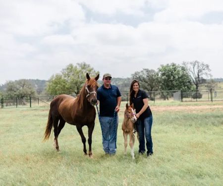 Oak Valley Veterinary Services