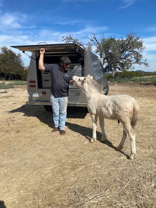 Oak Valley Veterinary Services Picture 10