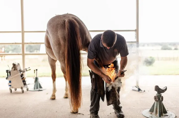 Oak Valley Veterinary Services Picture 9