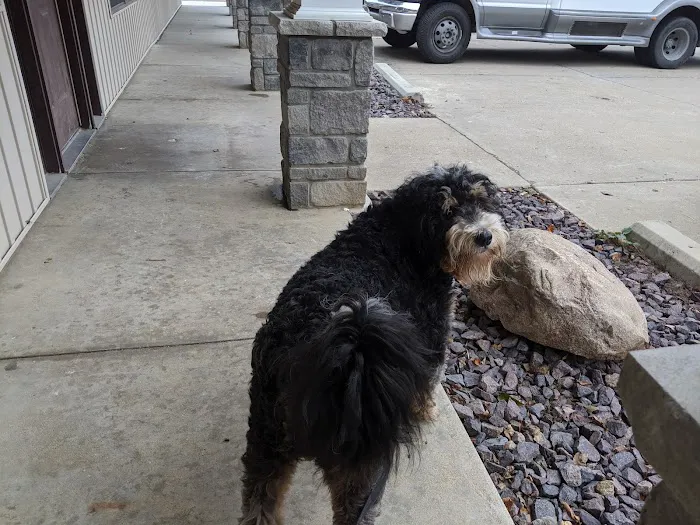 St Joe Veterinary Hospital, Inc Picture 5