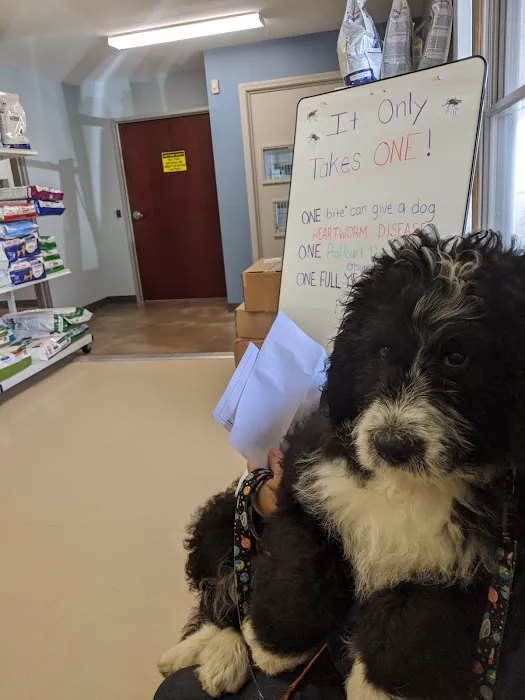 St Joe Veterinary Hospital, Inc Picture 8