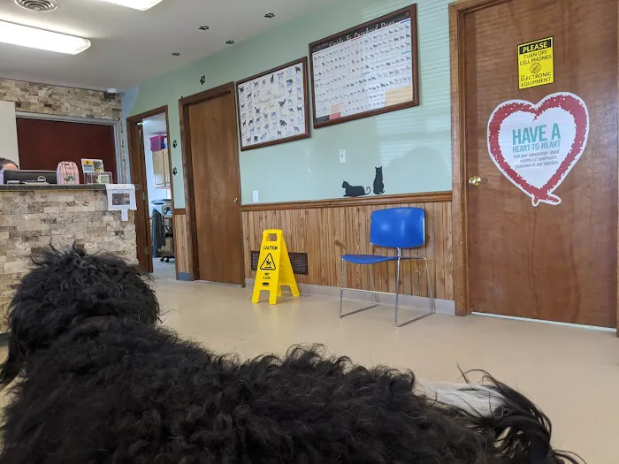 St Joe Veterinary Hospital, Inc Picture 7