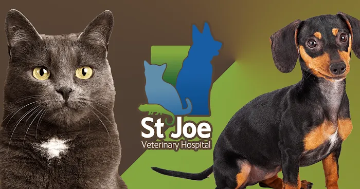 St Joe Veterinary Hospital, Inc Picture 10