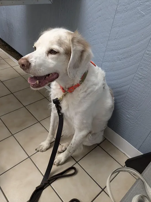 Greenbrier Animal Hospital Picture 3