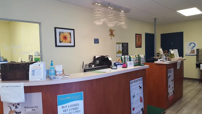 Advent Veterinary Services (Dr. Vivian Ramos - Dr. Thomas Kilbane) Picture 7